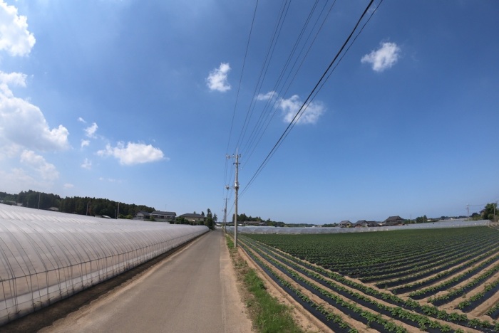 宮ケ崎第5メイン 宮ケ崎第5メイン