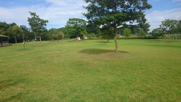 涸沼自然公園1 涸沼自然公園1