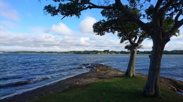 親沢公園1 親沢公園1