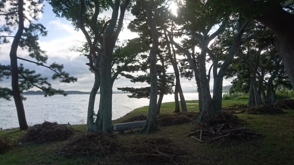 親沢公園2 親沢公園2