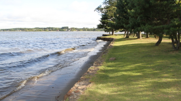 親沢公園3 親沢公園3