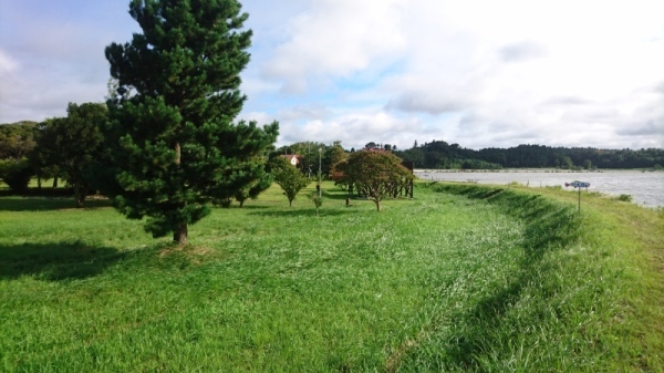 網掛公園1 網掛公園1