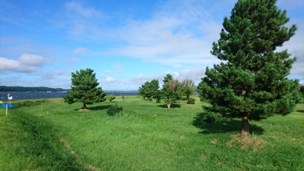 網掛公園2 網掛公園2