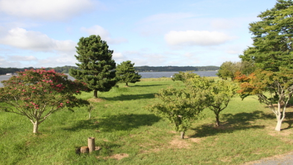 網掛公園3 網掛公園3