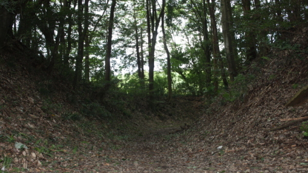 小幡城1 小幡城1