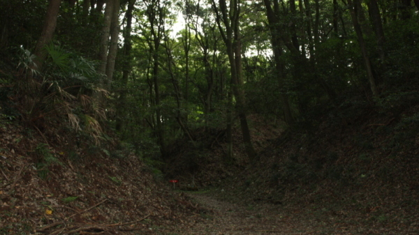 小幡城2 小幡城2