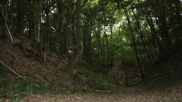 小幡城3 小幡城3