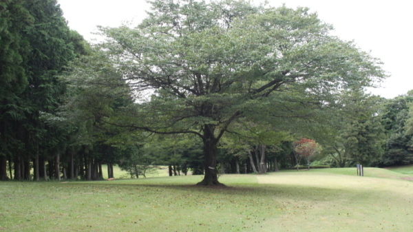 小幡北山埴輪公園1 小幡北山埴輪公園1