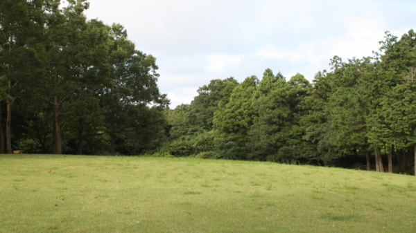 小幡北山埴輪公園3 小幡北山埴輪公園3