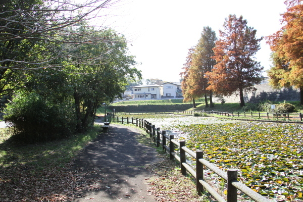 奥谷公園02 奥谷公園02