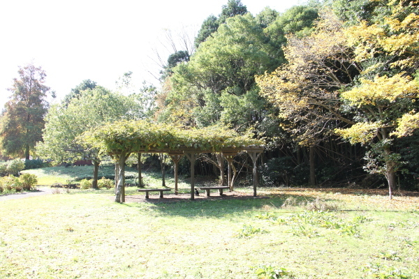 奥谷公園03 奥谷公園03