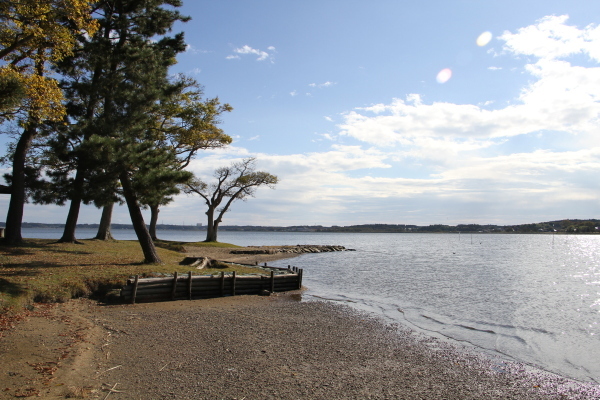 親沢公園浜辺の写真 親沢公園浜辺の写真