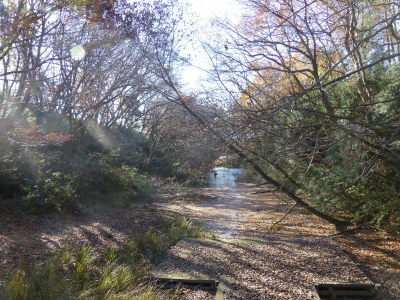(写真)勘十郎跡