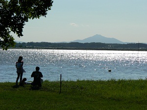 (写真)夏の親沢公園その2