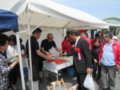 いととんぼ14 いととんぼ14