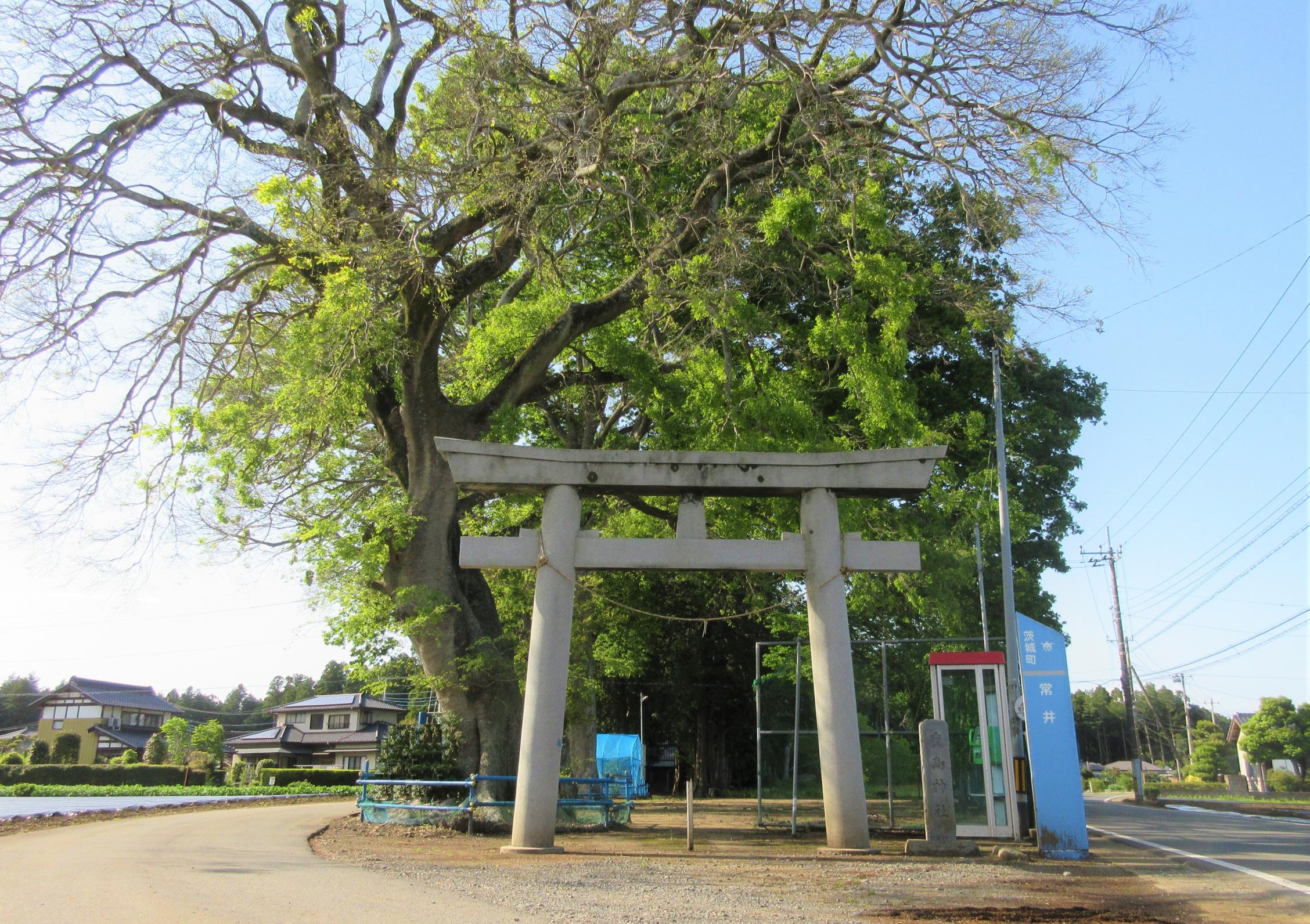 IMG_7862-1 IMG_7862-1