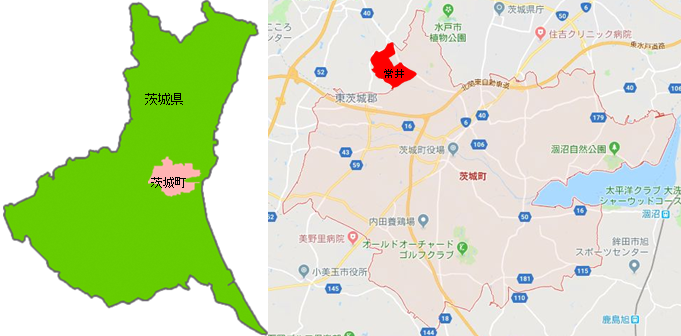 根ほり葉ほり 根ほり葉ほり