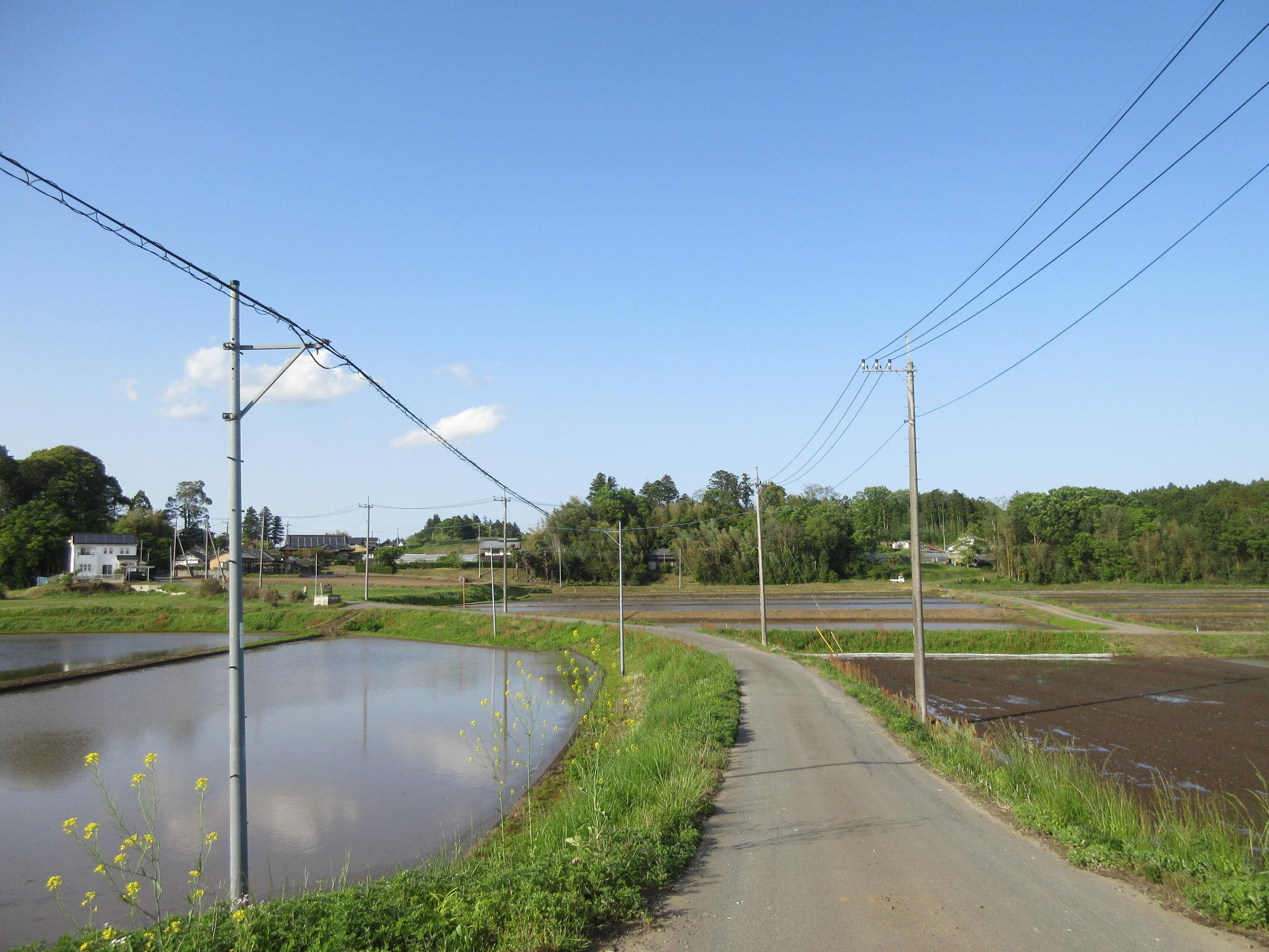 地内商業施設 地内商業施設