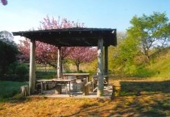 キャプチャ常井2 キャプチャ常井2