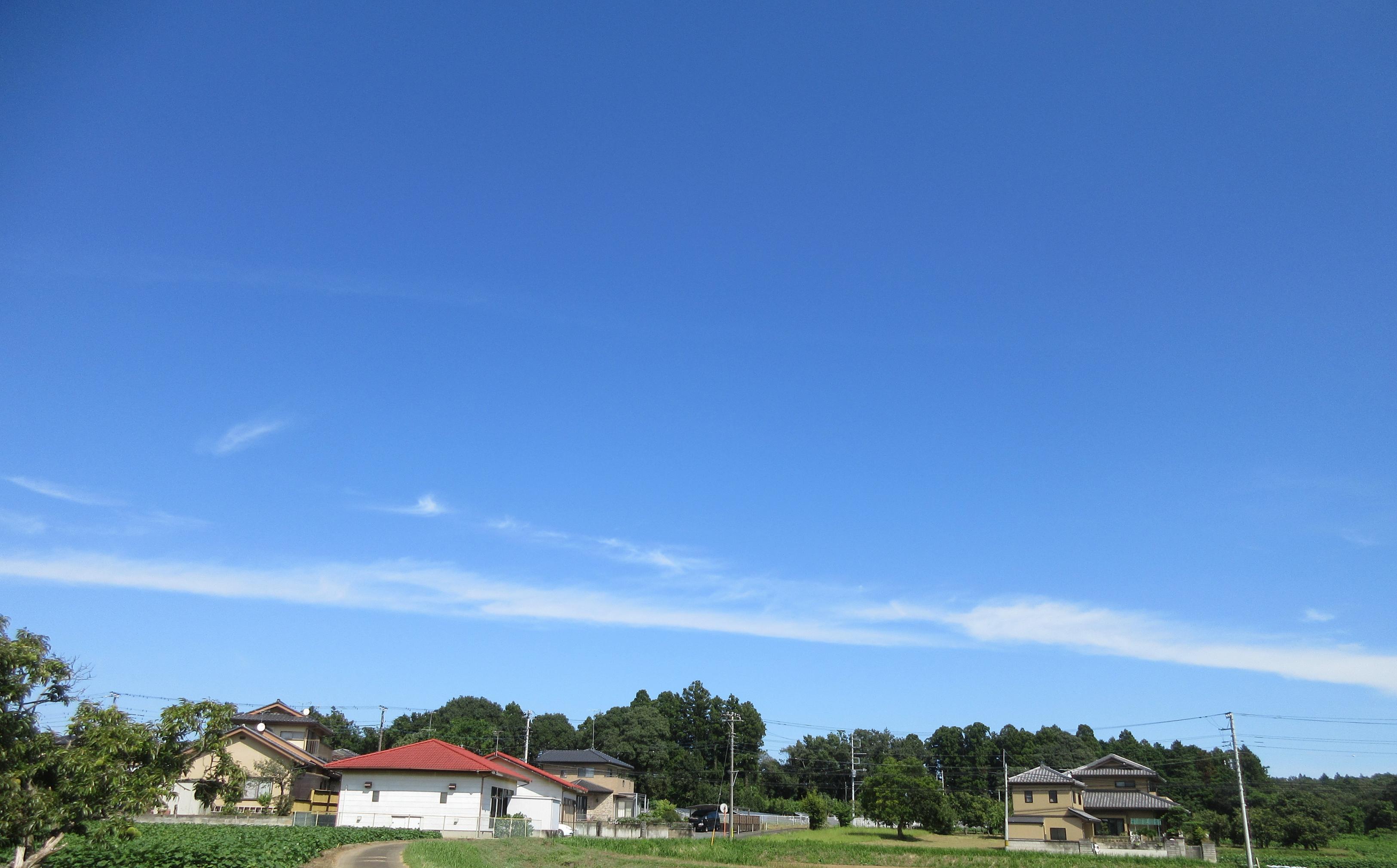 IMG_8222-1 IMG_8222-1