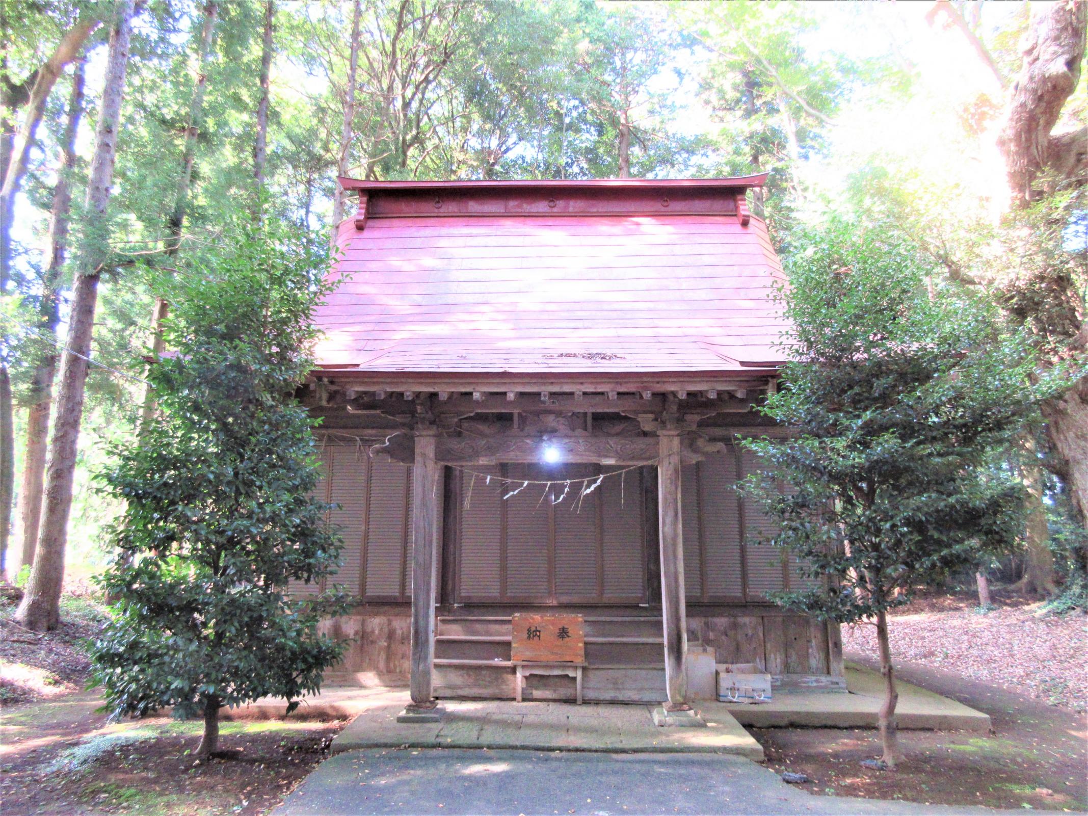 IMG_8311-1 IMG_8311-1