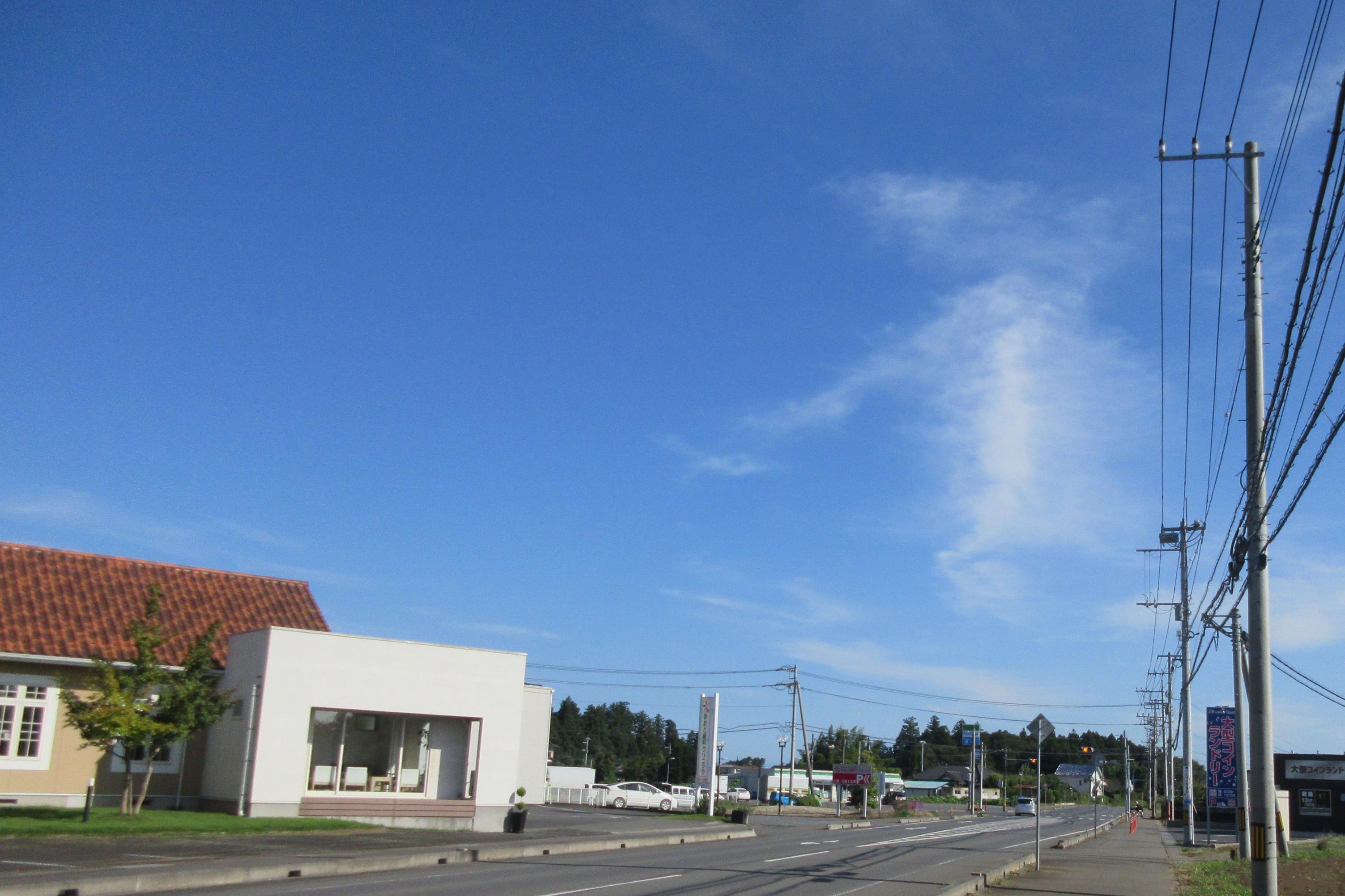 IMG_8356-1 IMG_8356-1