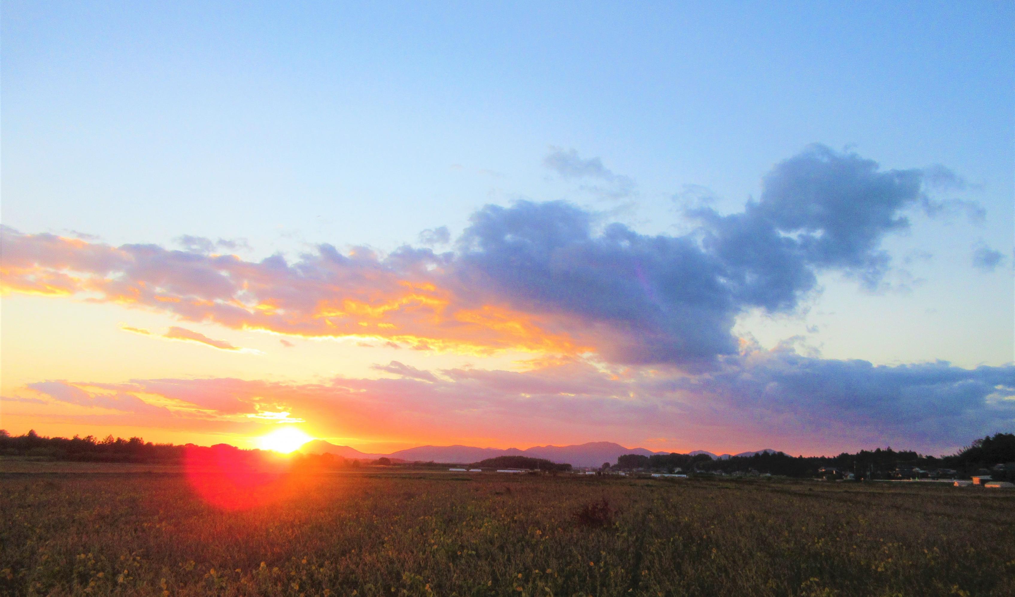 IMG_8716-3 IMG_8716-3