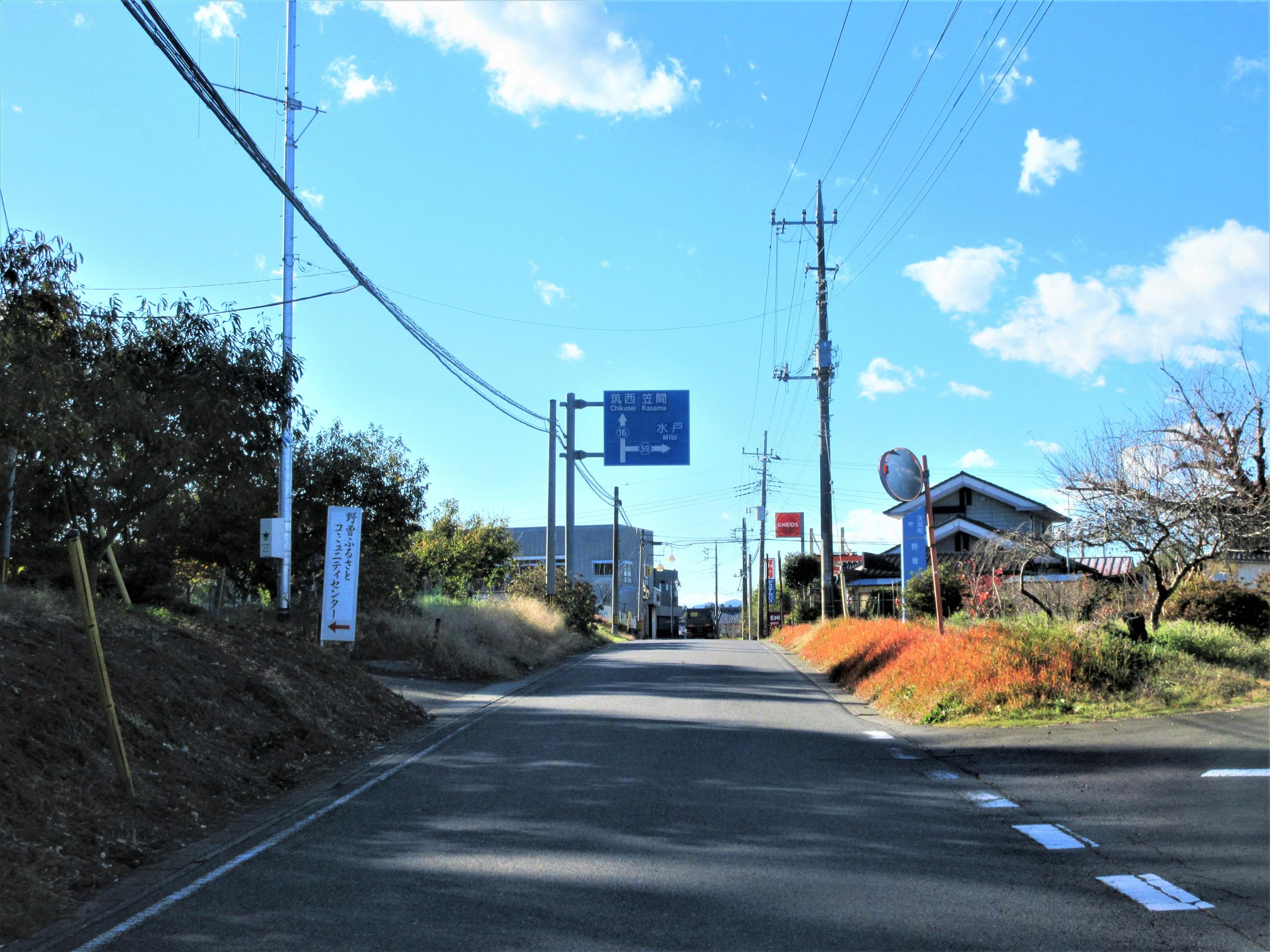 IMG_8973-1 IMG_8973-1