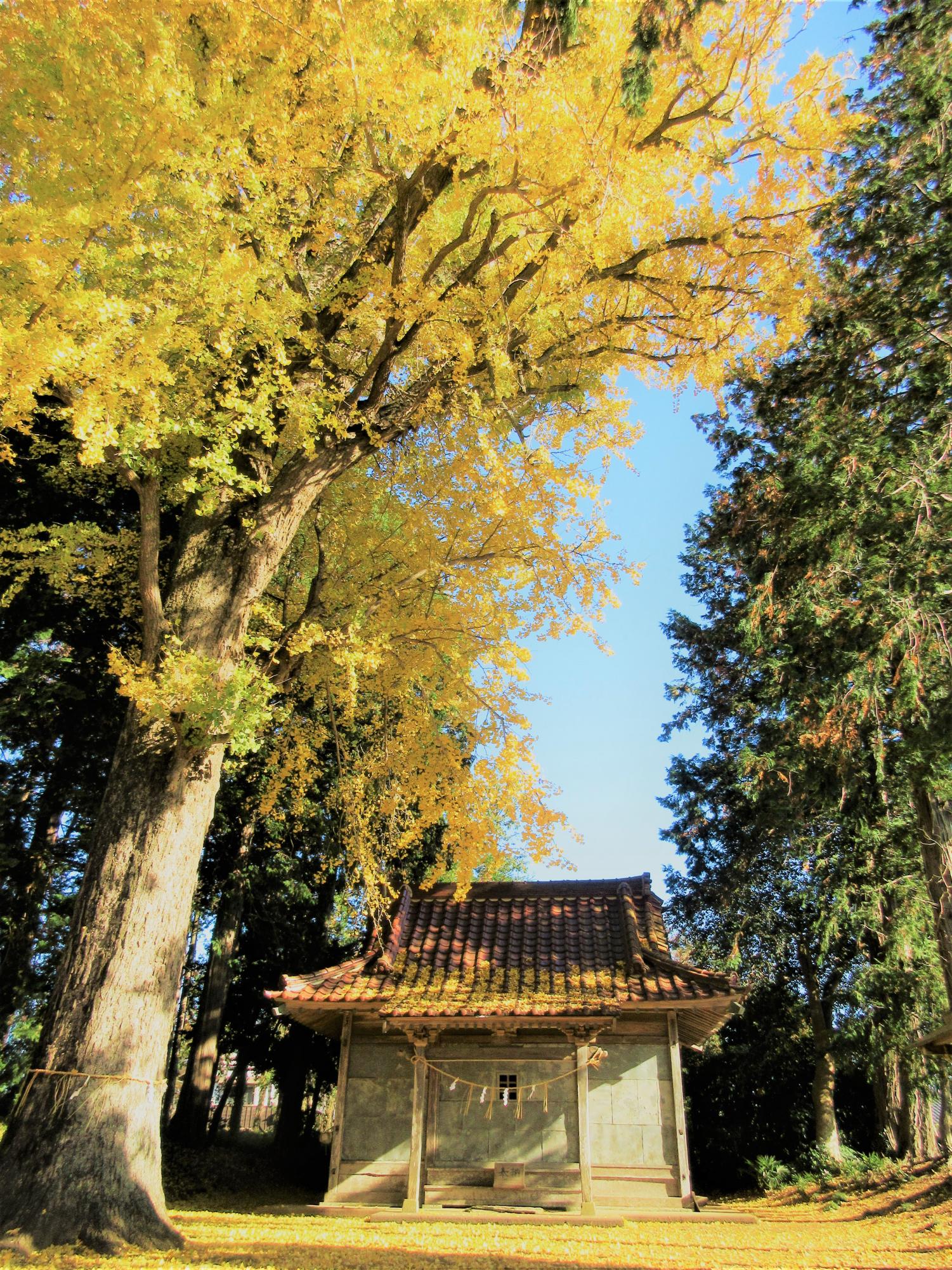 IMG_8935-1 IMG_8935-1