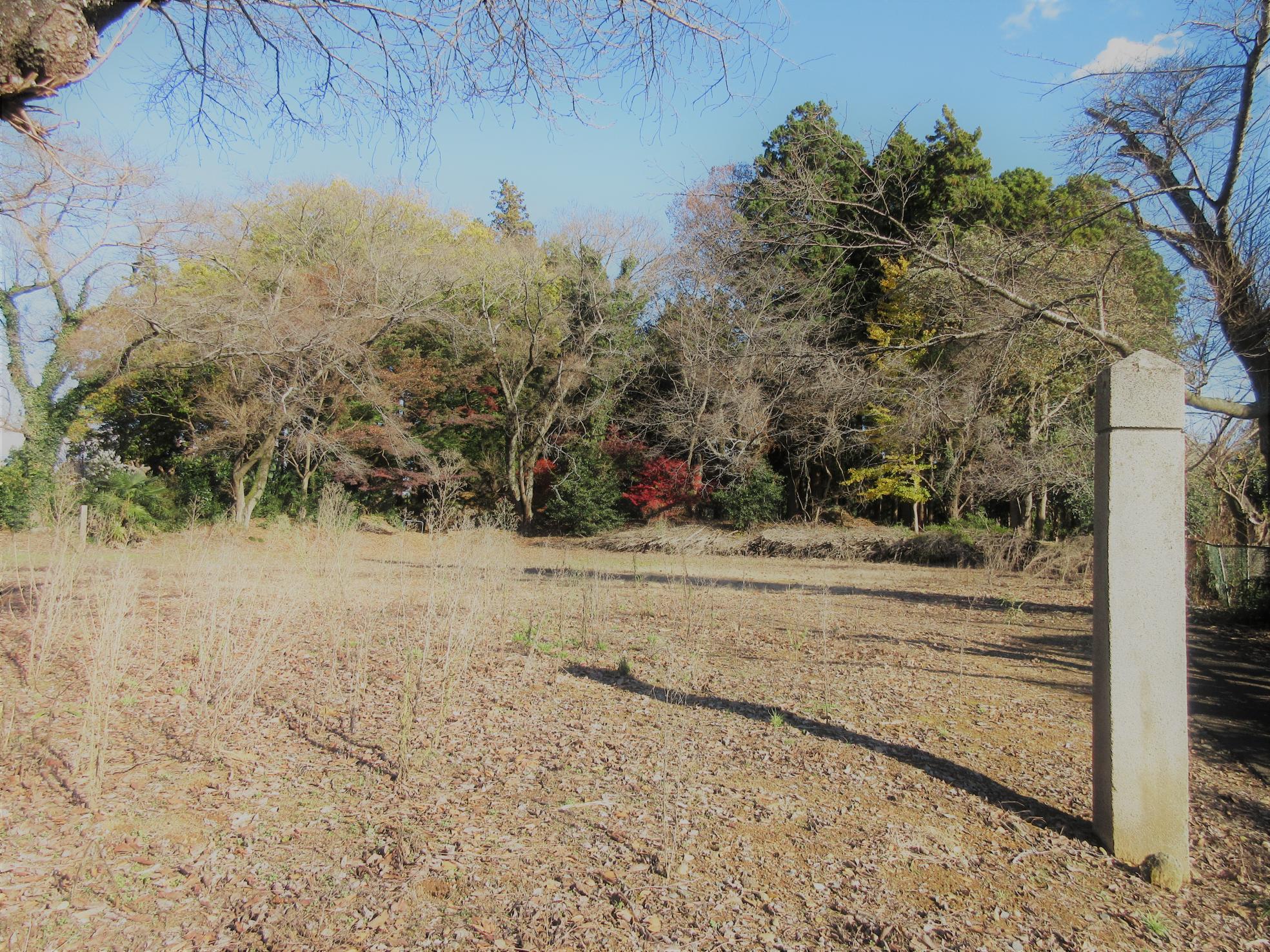 IMG_8962-1 IMG_8962-1