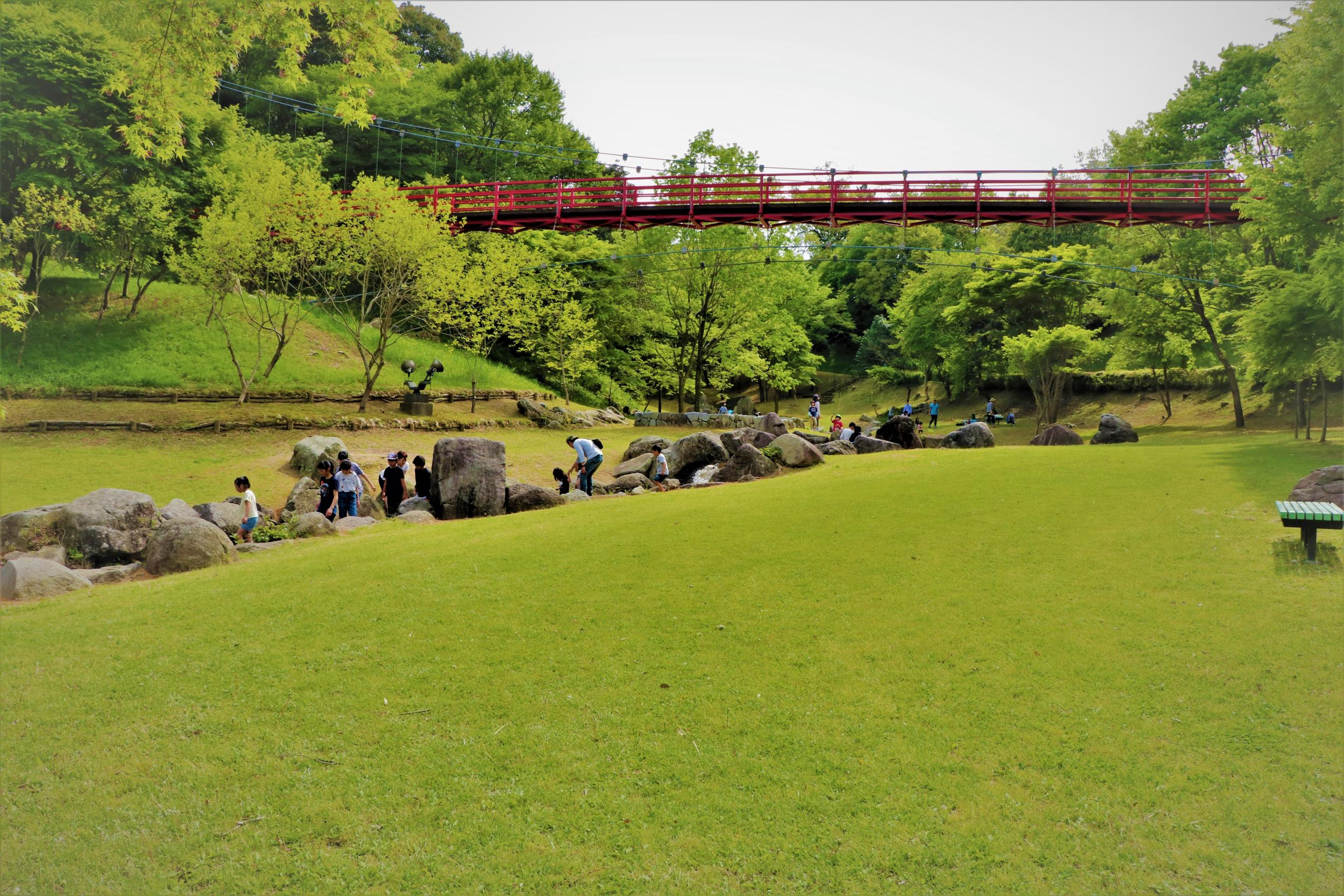 IMG_7359-1 IMG_7359-1