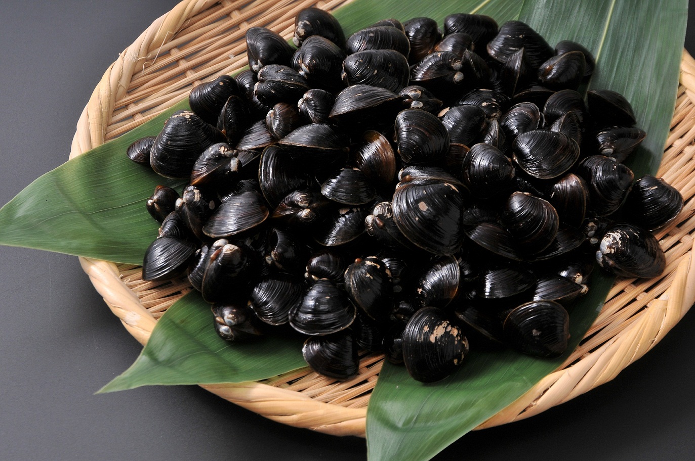 IMG_7359-1 IMG_7359-1