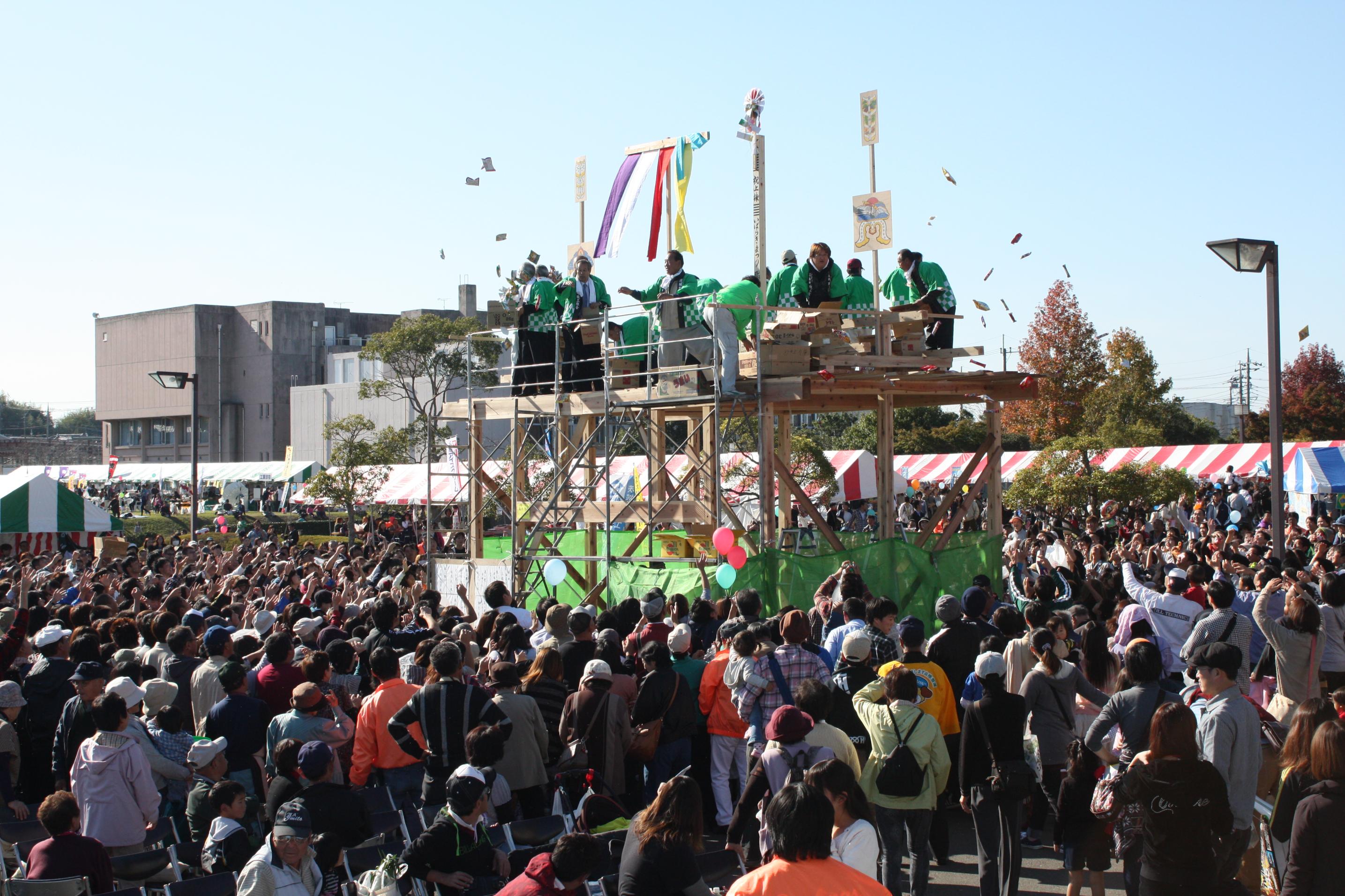 IMG_7359-1 IMG_7359-1