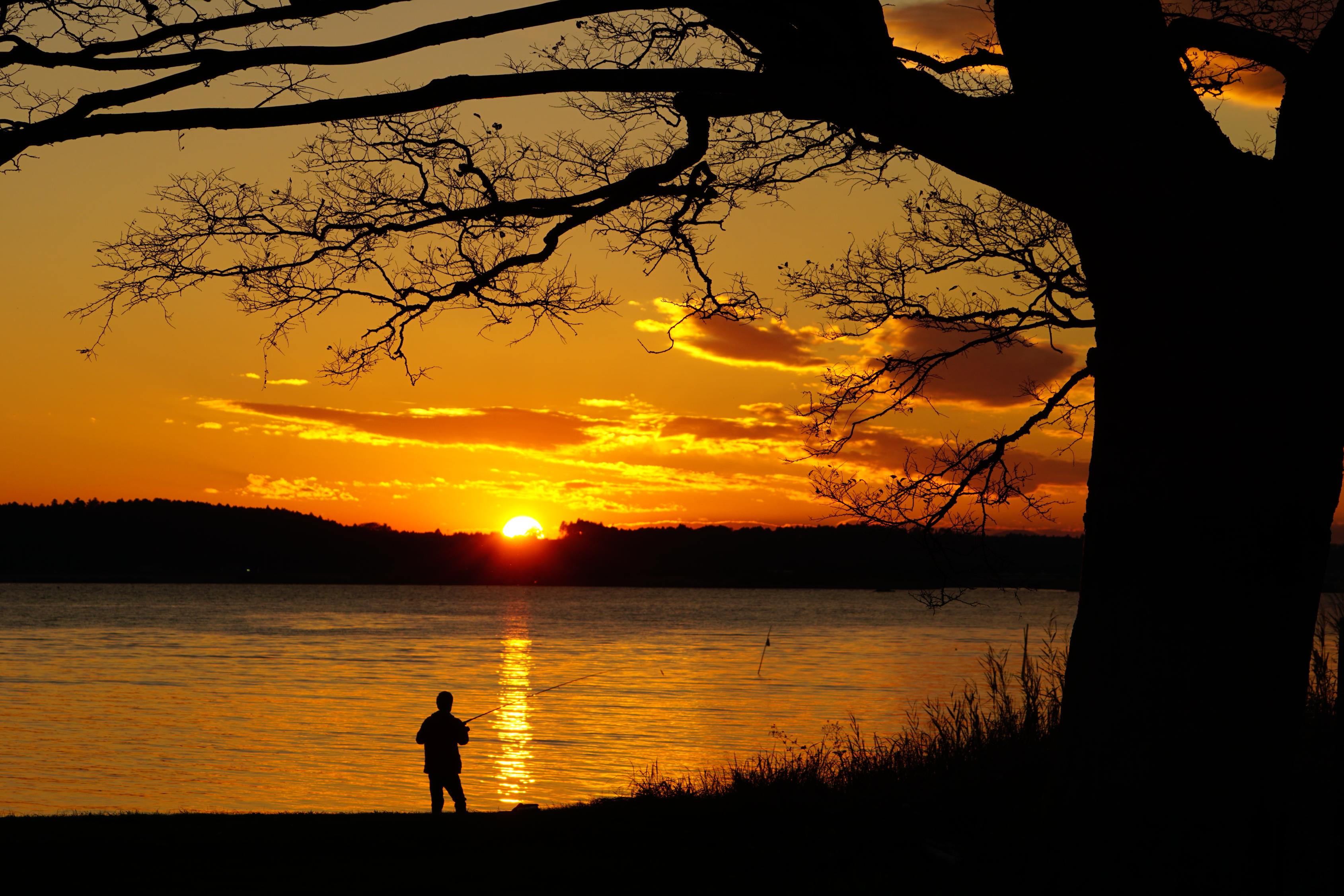 IMG_7359-1 IMG_7359-1