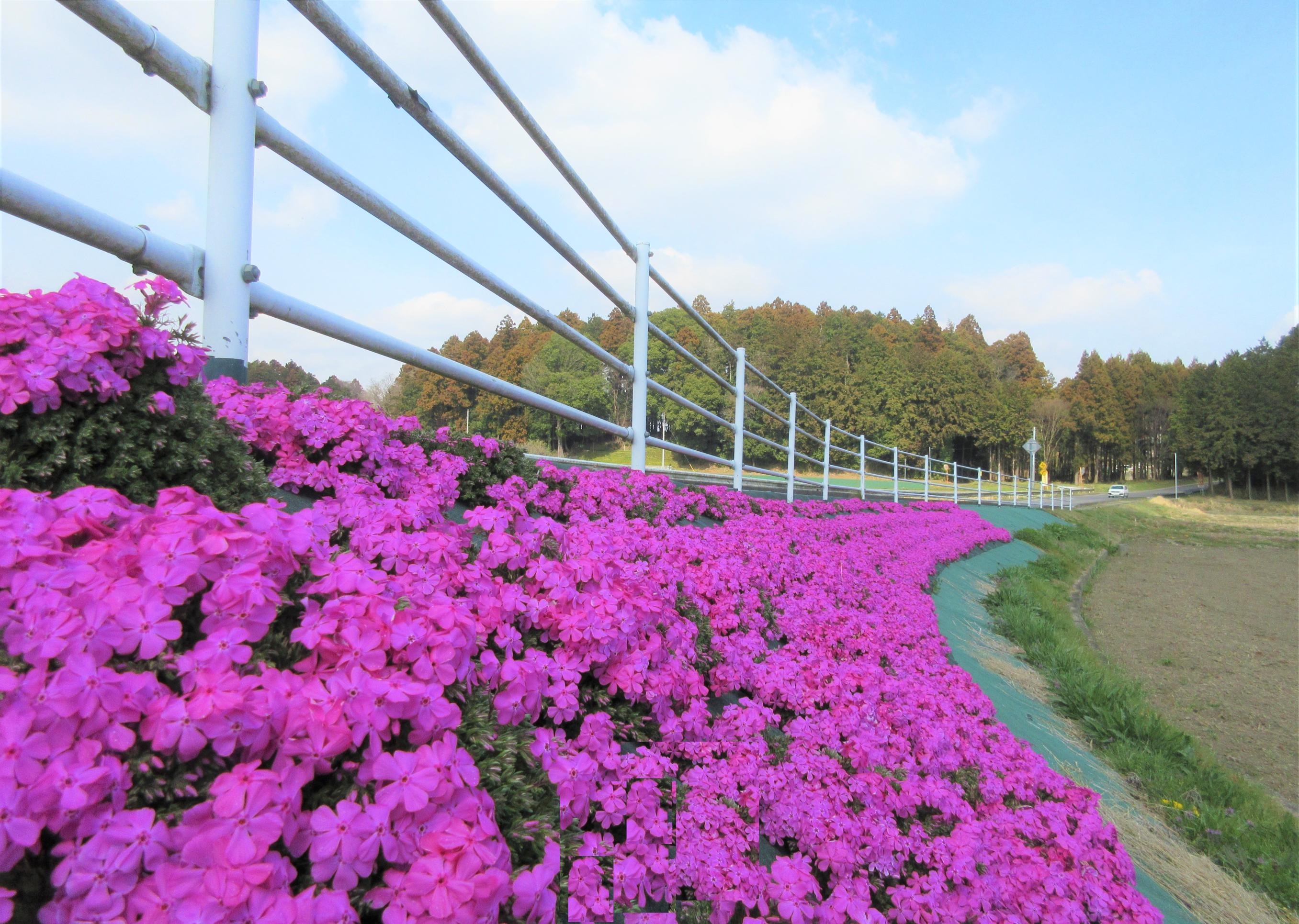 ★IMG_9885-1 ★IMG_9885-1