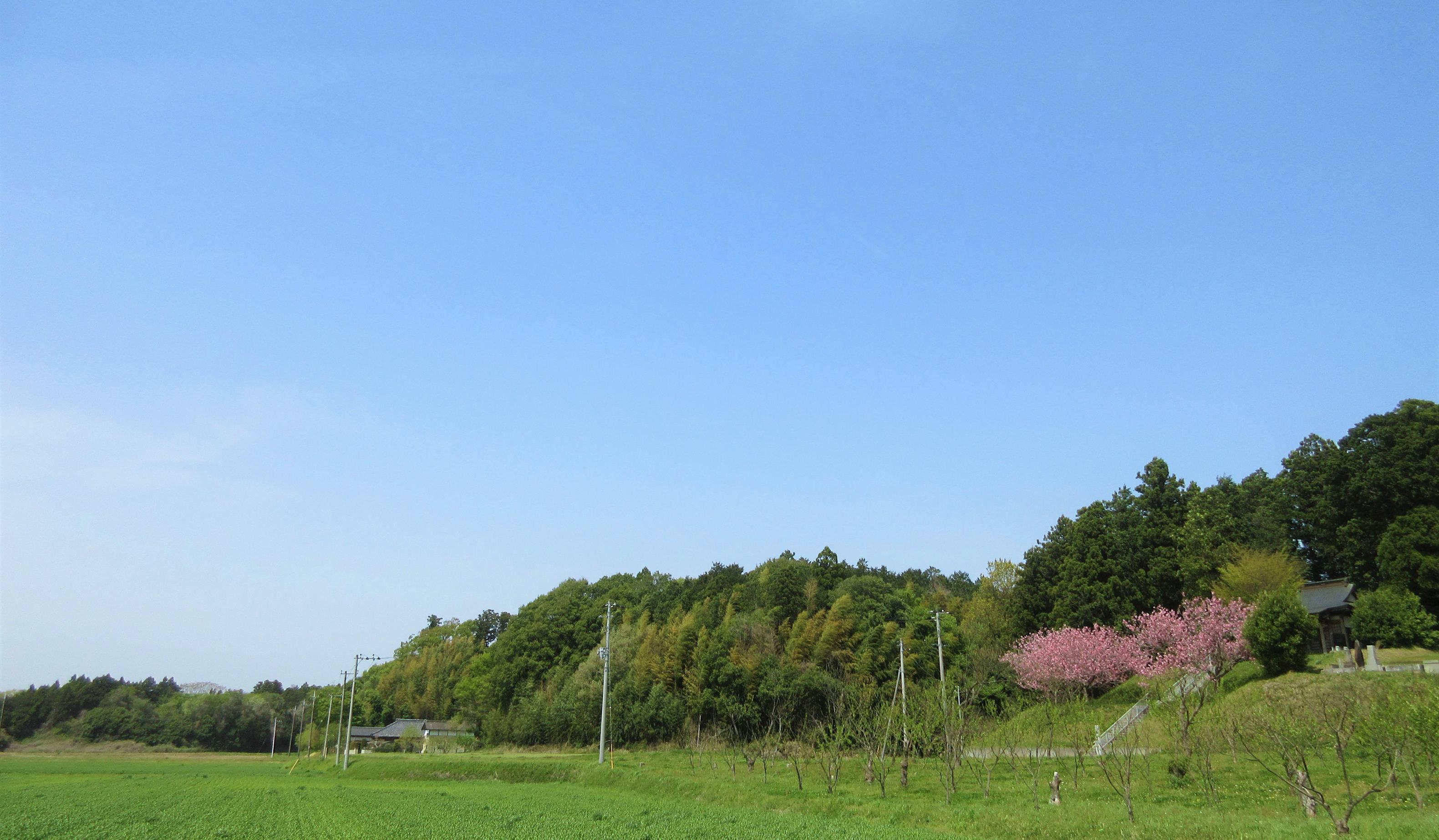 IMG_0160-1 IMG_0160-1