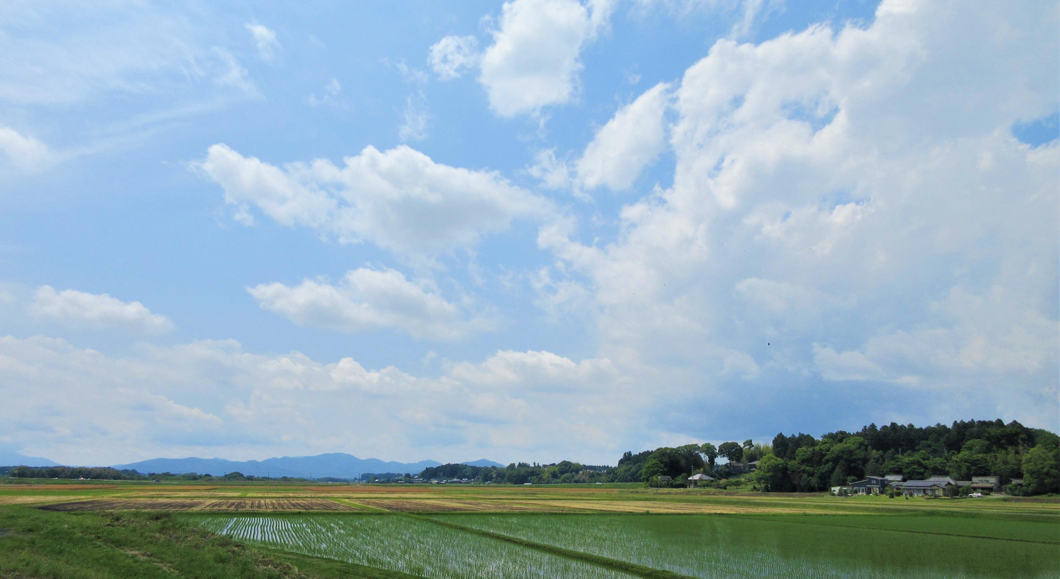 1★IMG_0369(メイン) 1★IMG_0369(メイン)