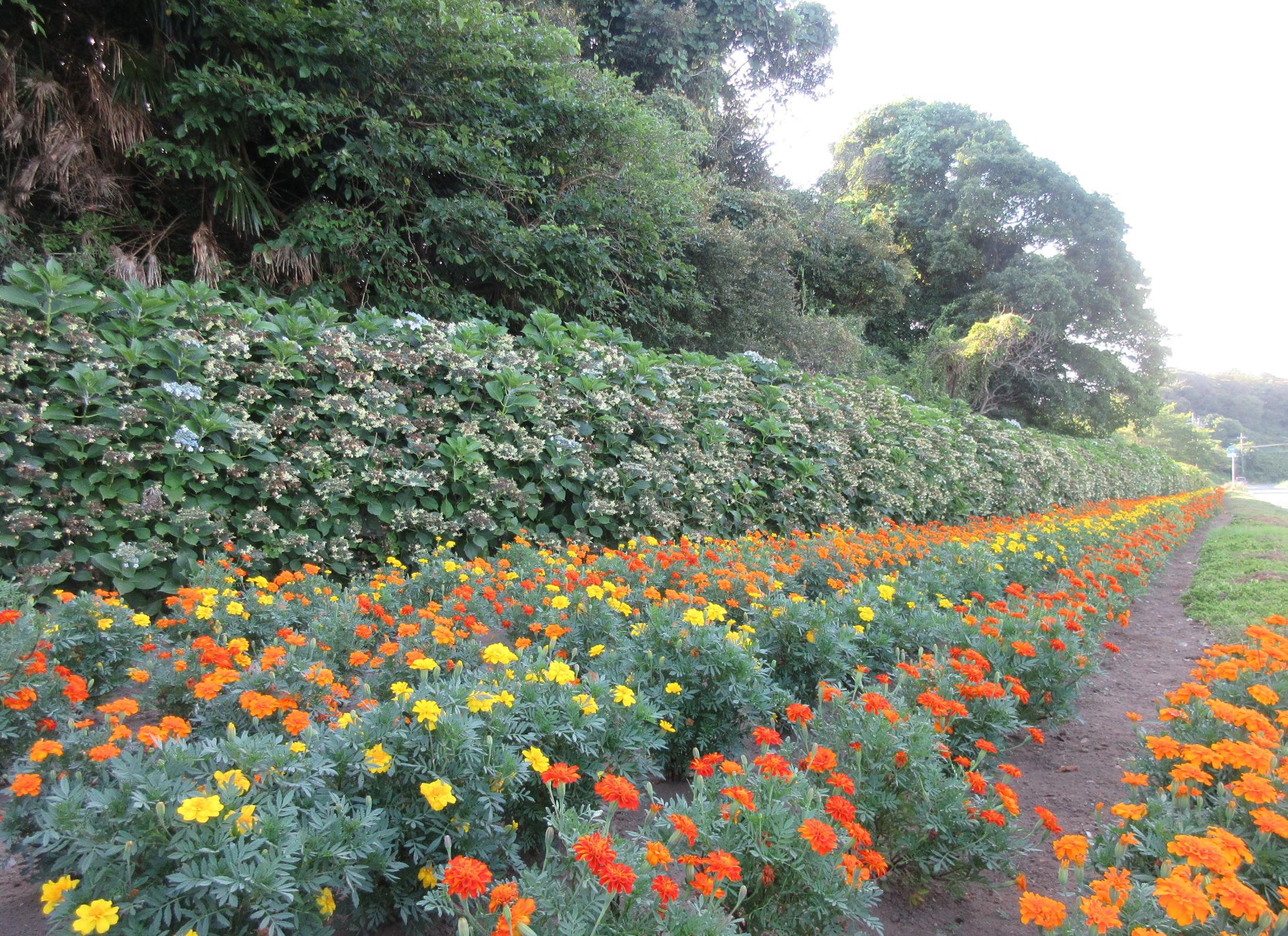 ★IMG_0854 ★IMG_0854