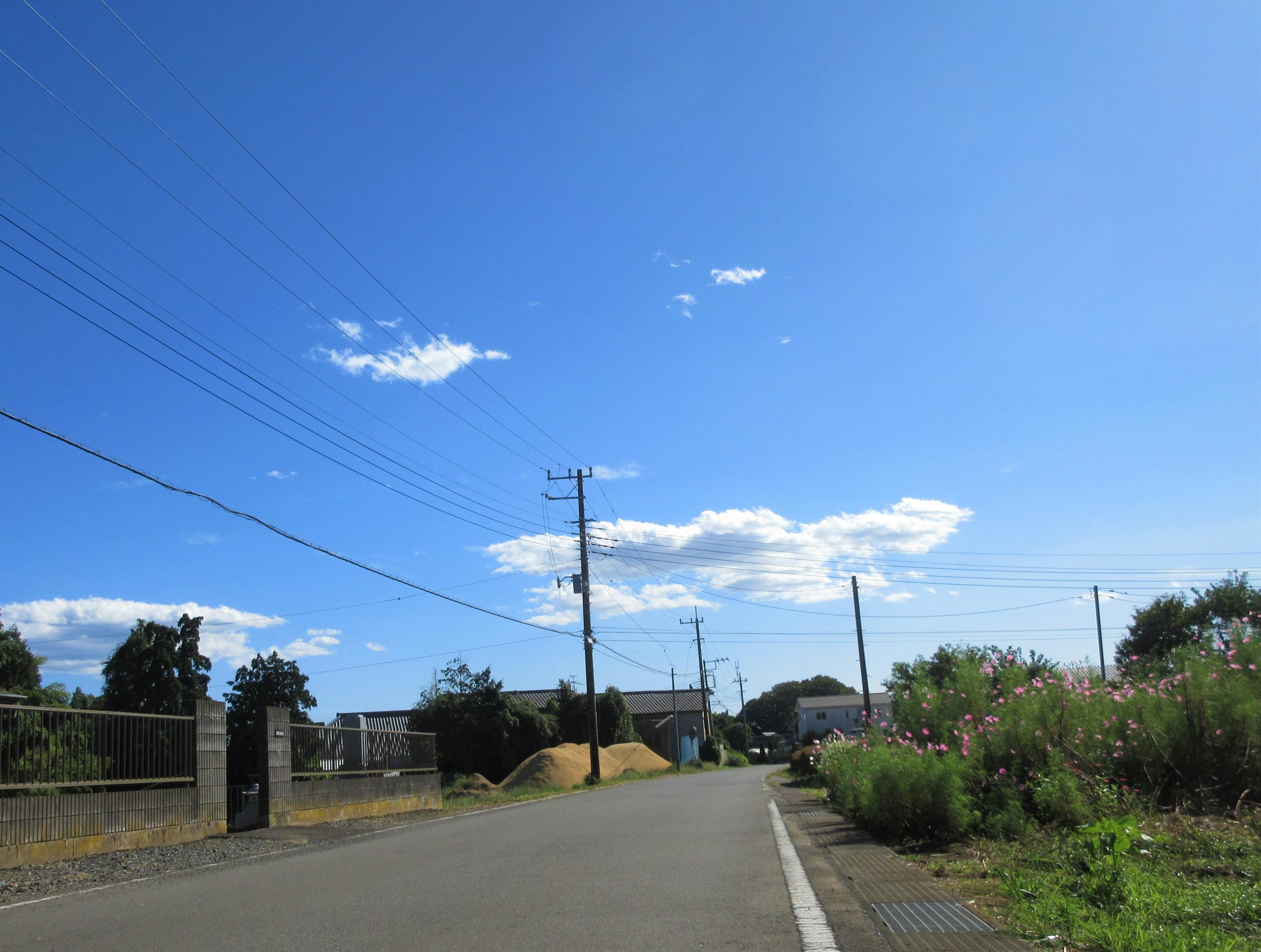 ★IMG_1075 ★IMG_1075