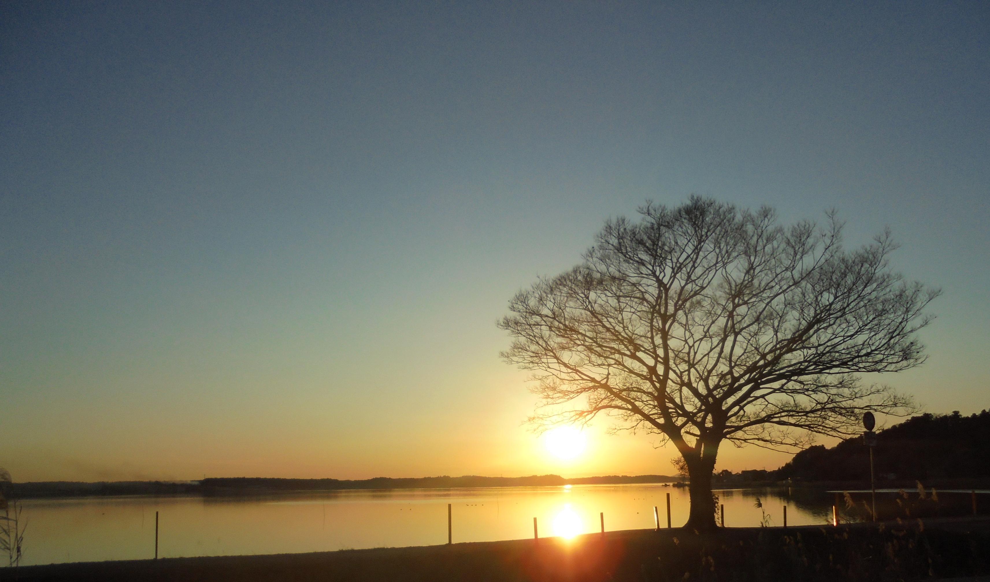 瀬谷撮影-1 瀬谷撮影-1