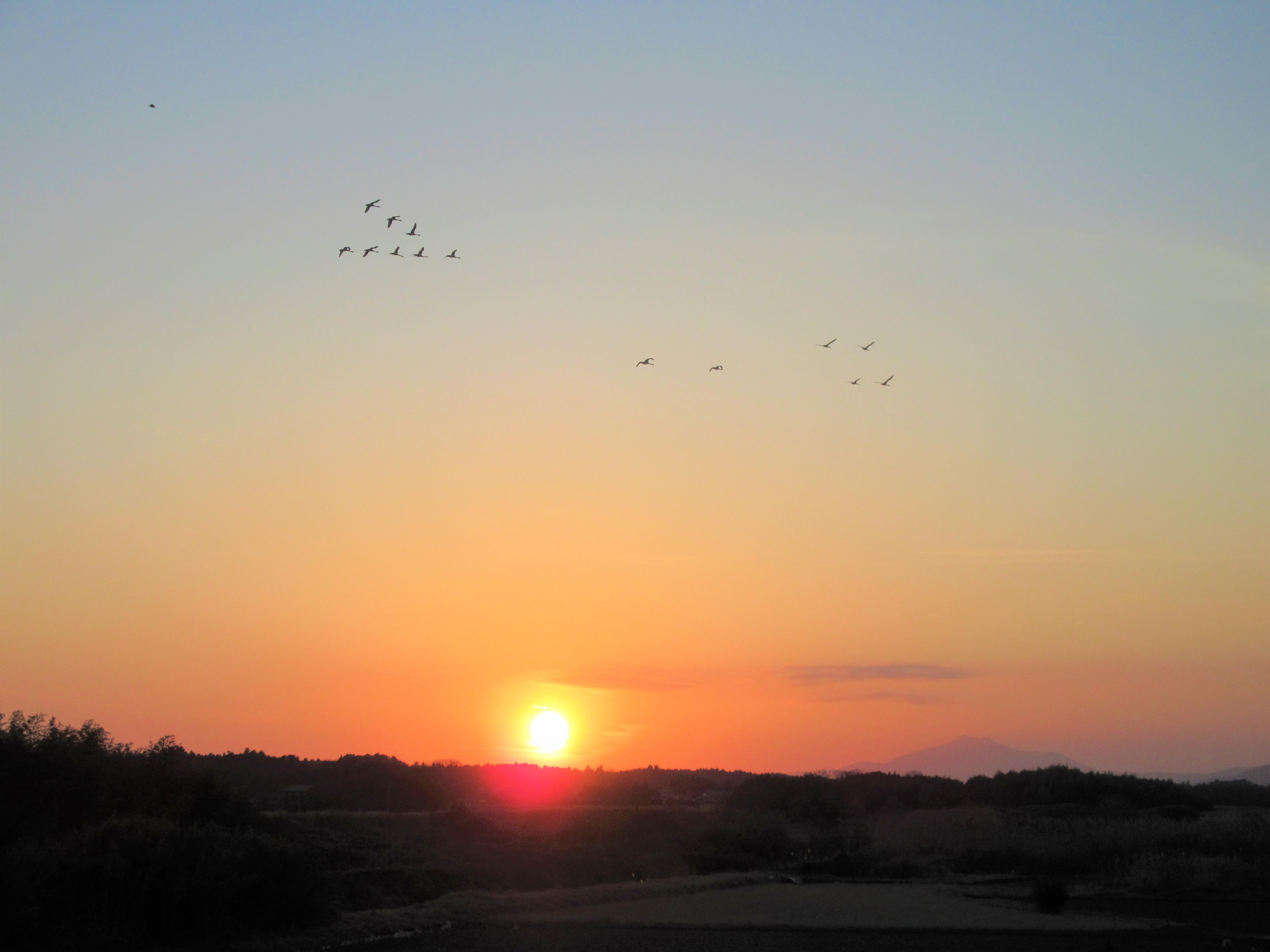 IMG_1416-1 IMG_1416-1