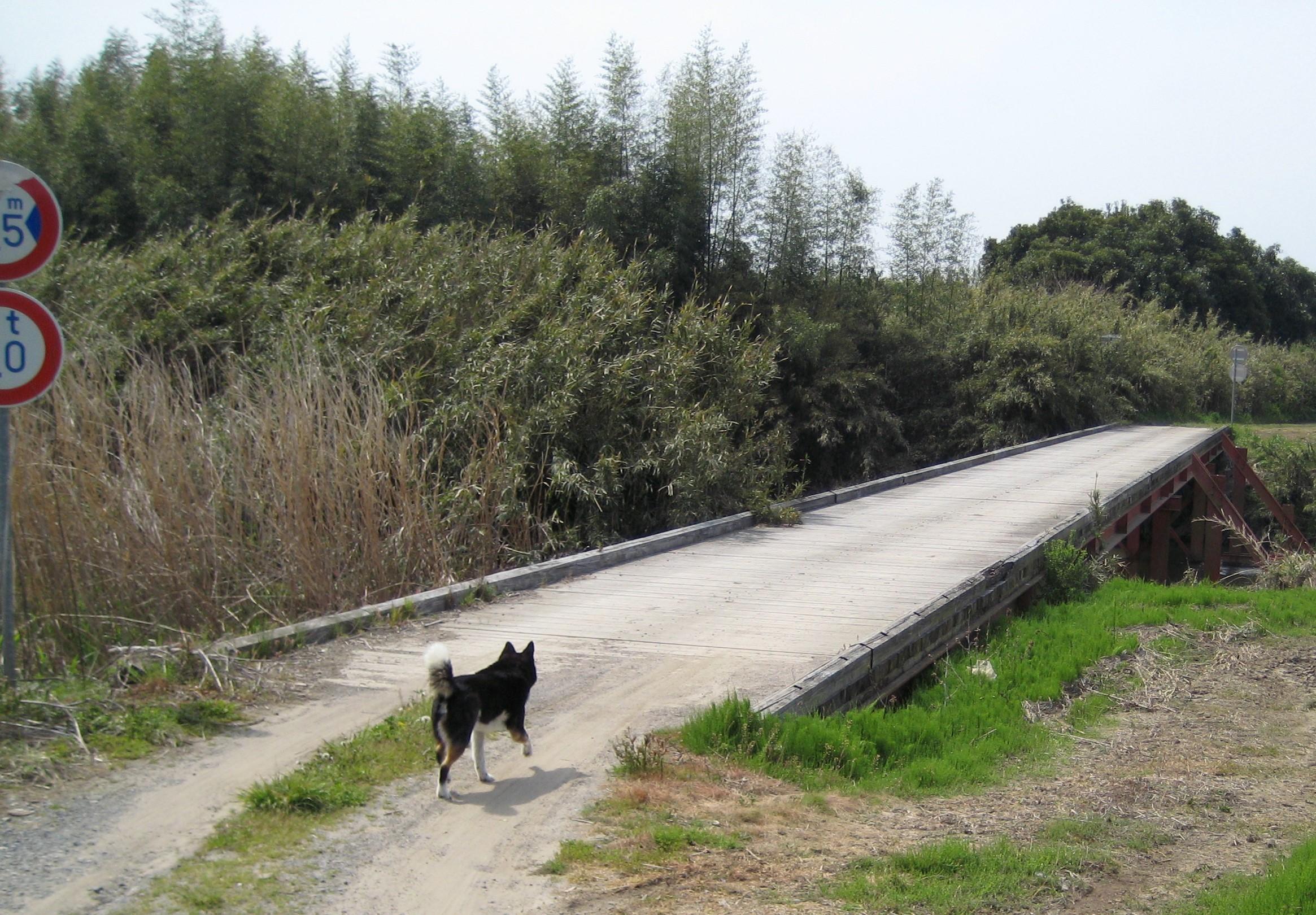 IMG_0388-1 IMG_0388-1