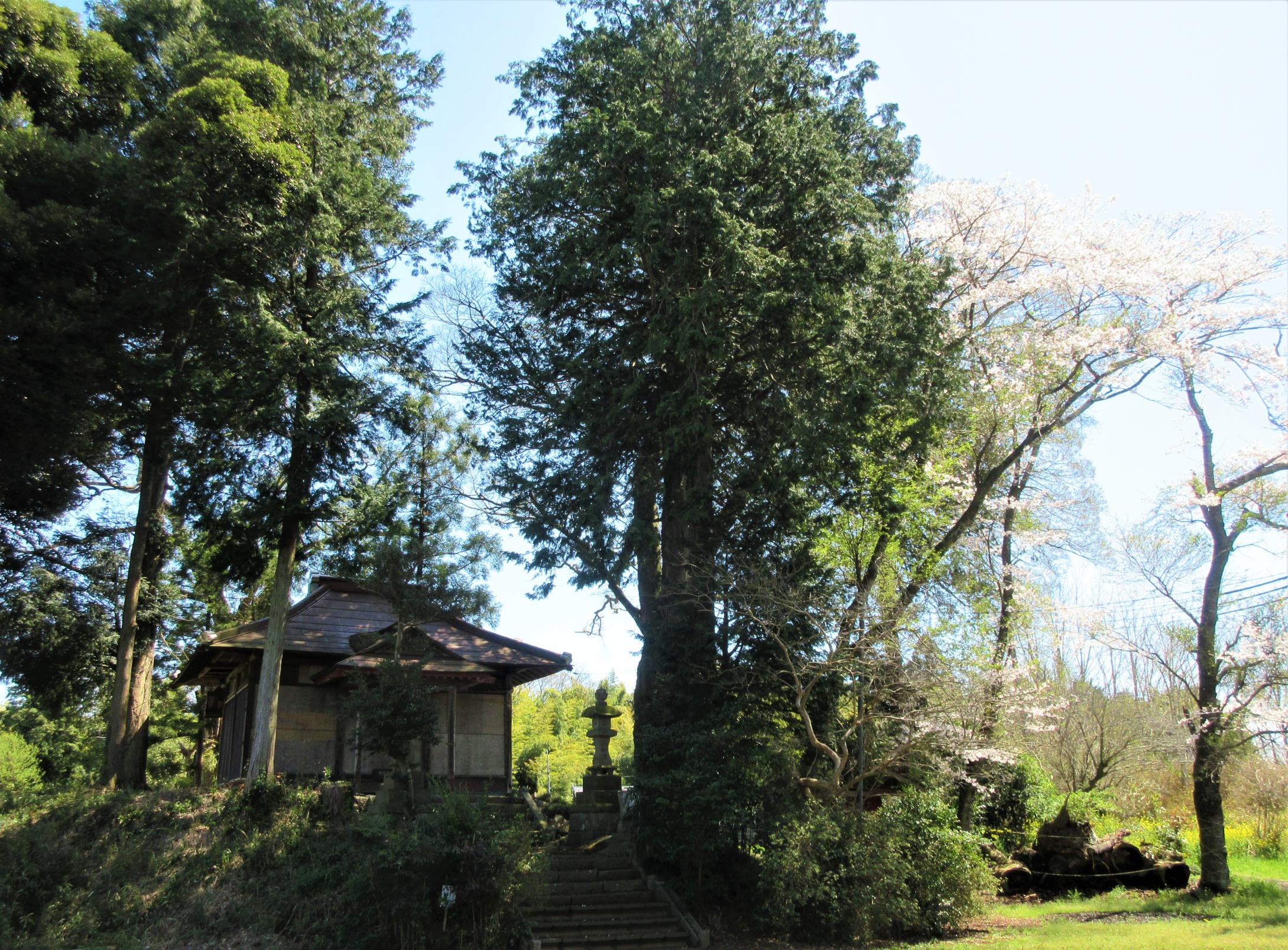 IMG_1757-1 IMG_1757-1