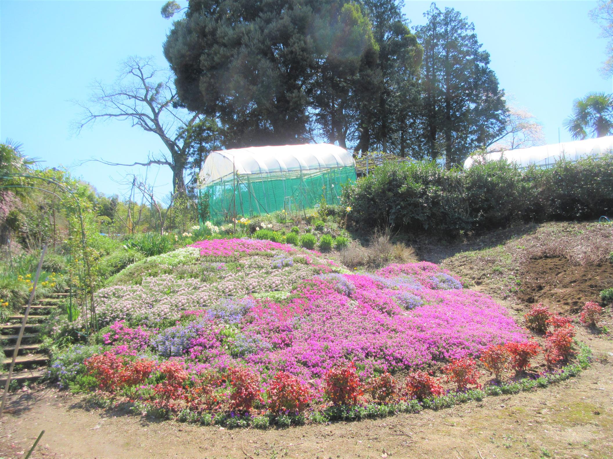 IMG_1730-1 IMG_1730-1