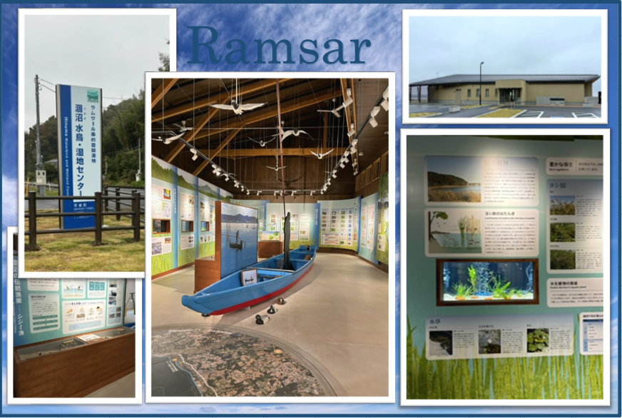 ラムサールバナー ラムサールバナー