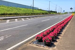 野曽後谷R5-1 野曽後谷R5-1