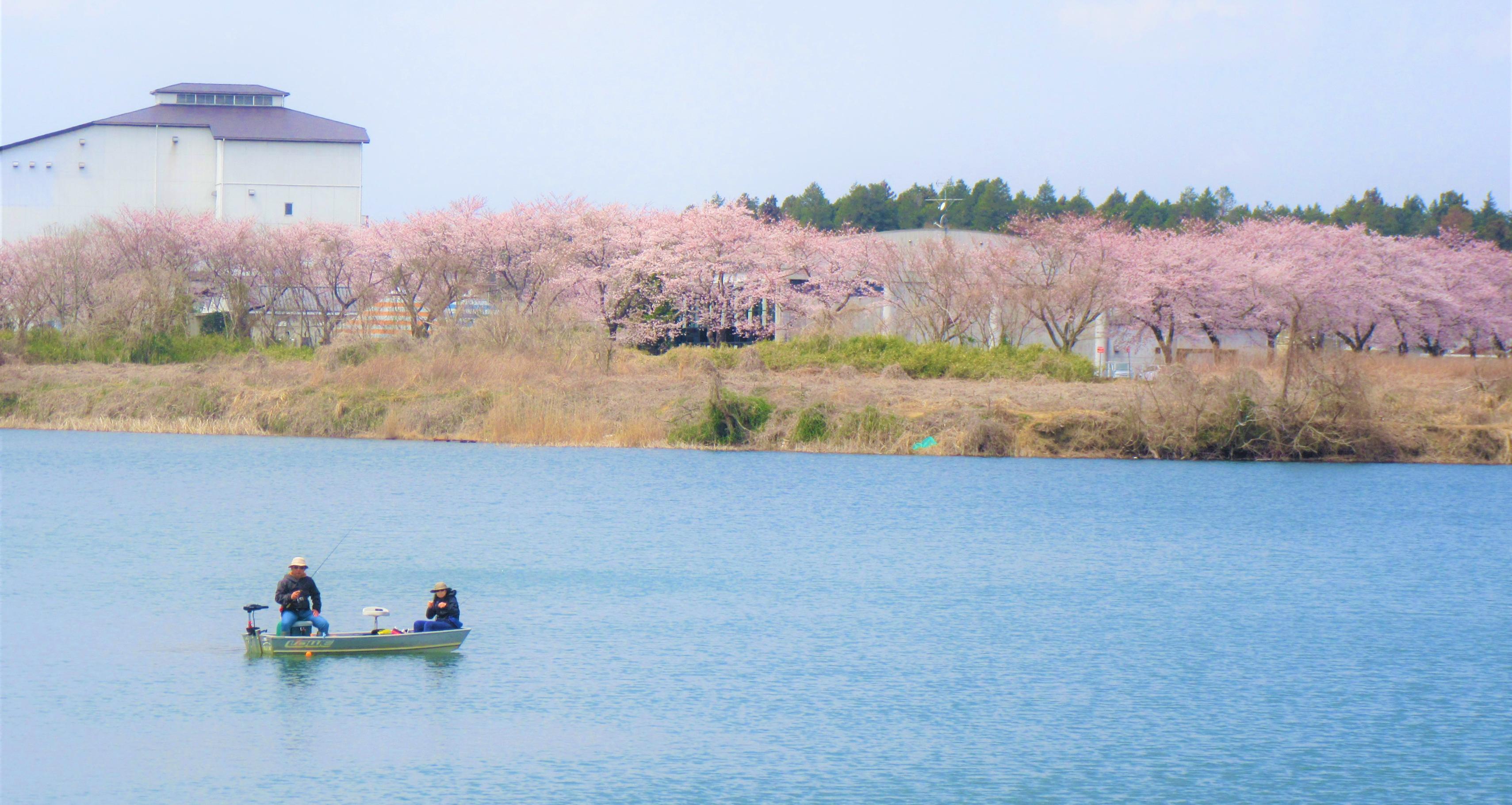 IMG_7260-1 IMG_7260-1