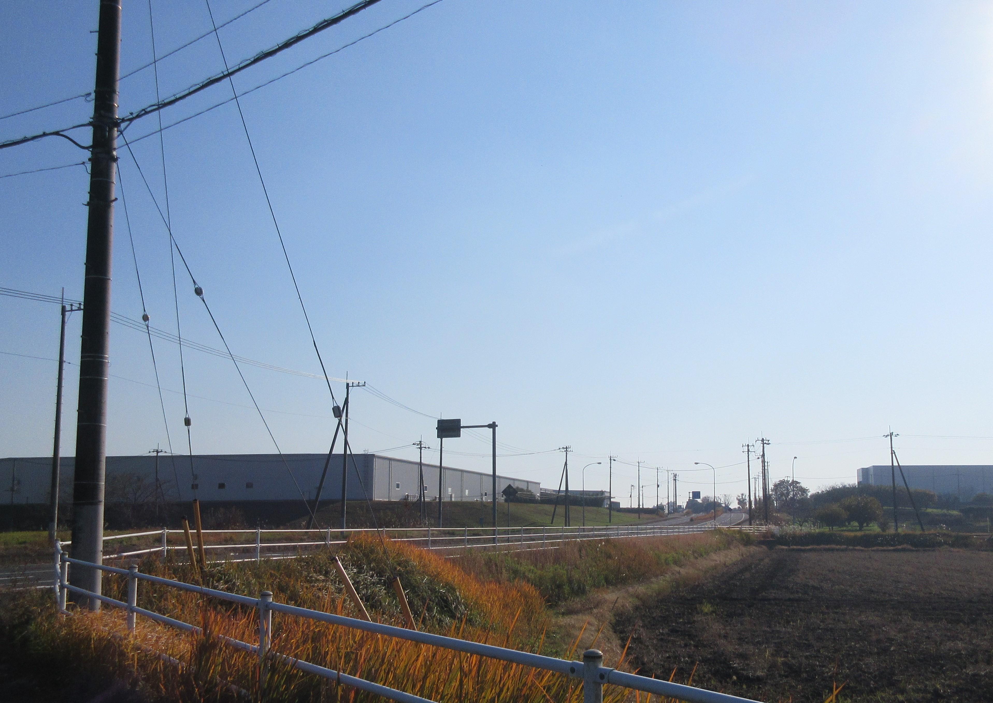 IMG_2264-1 IMG_2264-1