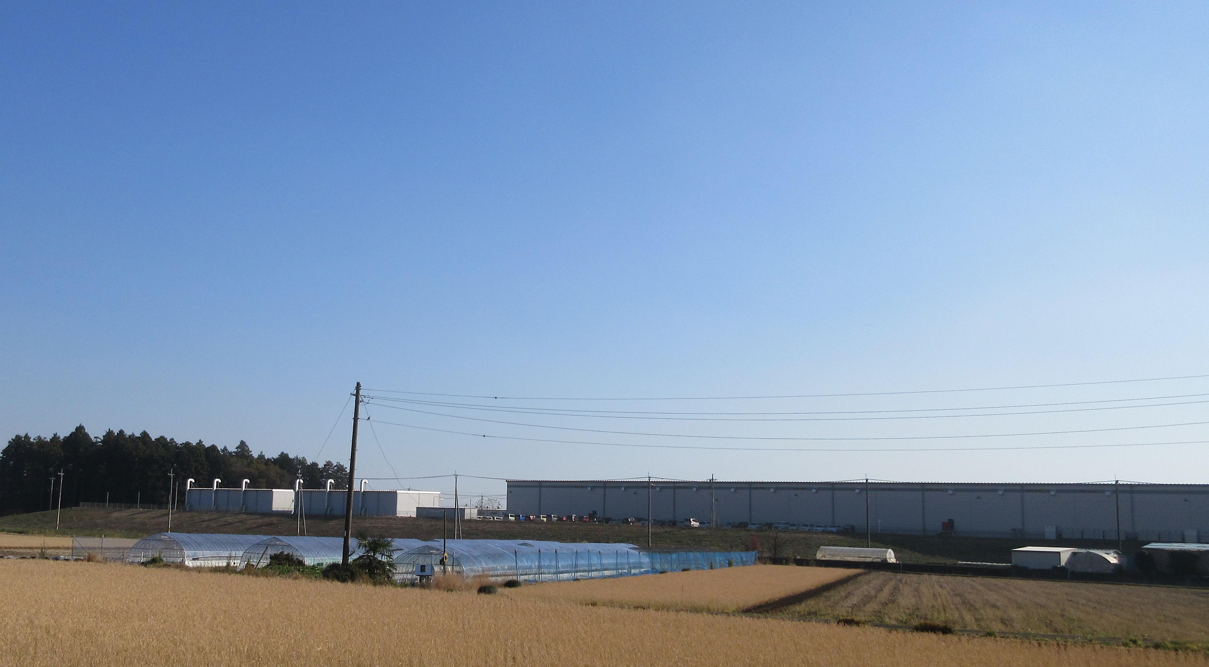 IMG_2256-1 IMG_2256-1