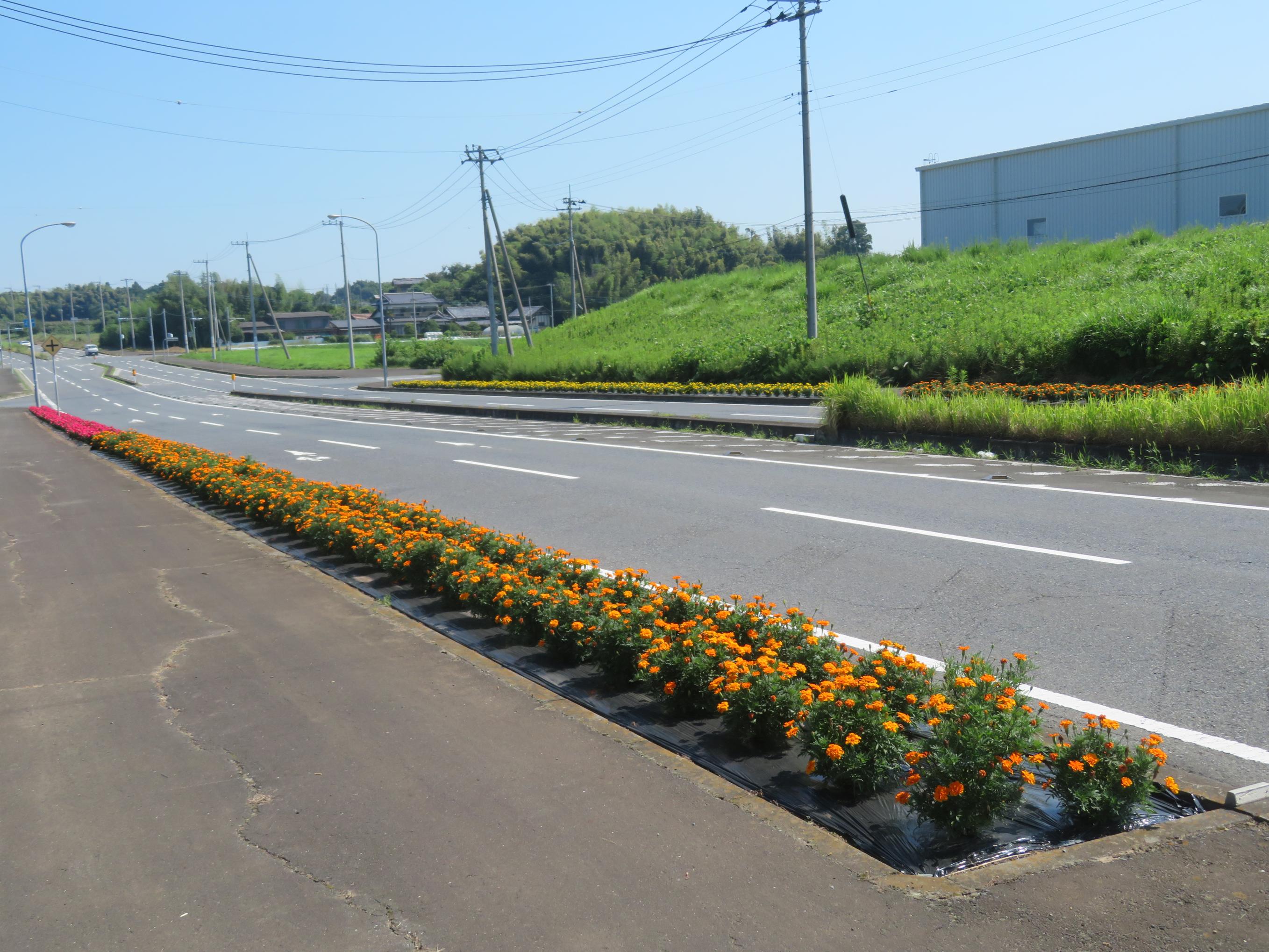 野曽後谷R6 野曽後谷R6